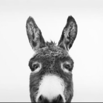 Krippenspielberatung